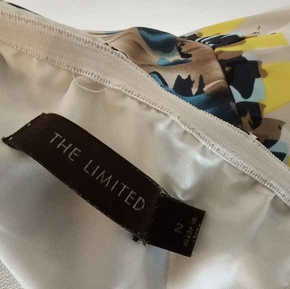 The Limited Strapless Dress - Picture 3 of 3